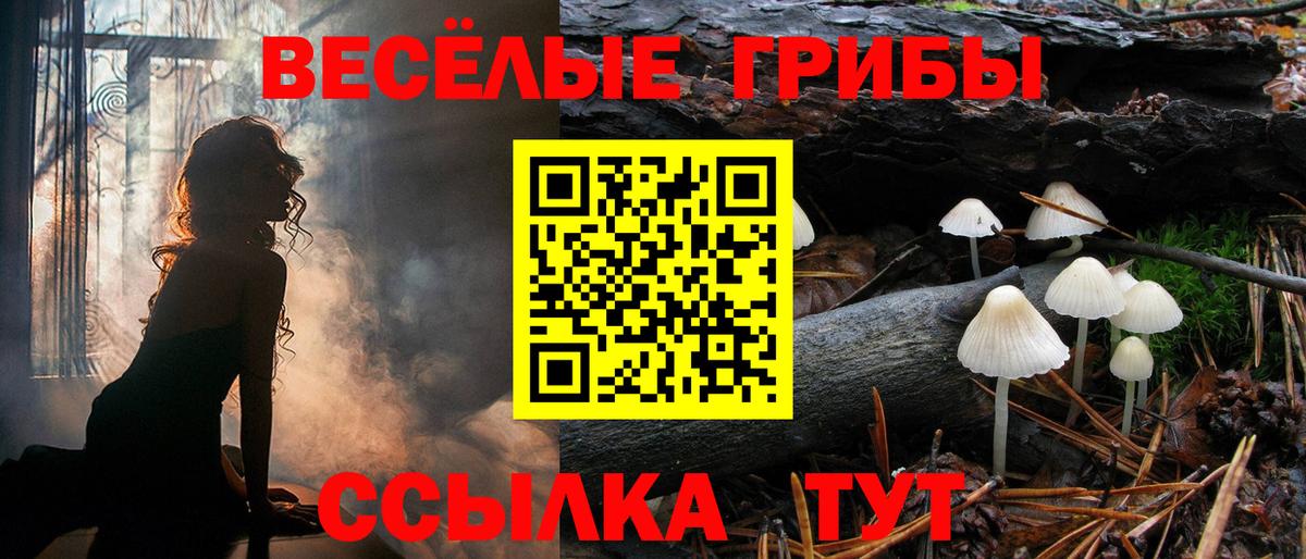 Галлюциногенные грибы прущие грибы  Вход с VPN  Минусинск 